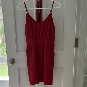 Greylin red dress